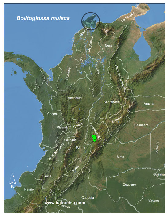 Lista y Mapas Anfibios de Colombia