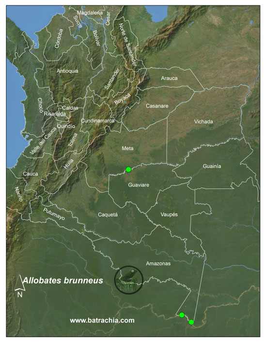 Lista y Mapas Anfibios de Colombia