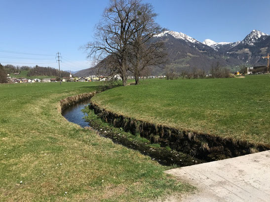 Rauti beim Rautifeld, unmittelbar vor der Einmündung in den Mühlebach, den dann ihren Namen annimmt.