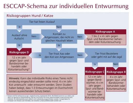 Bild von Esccap