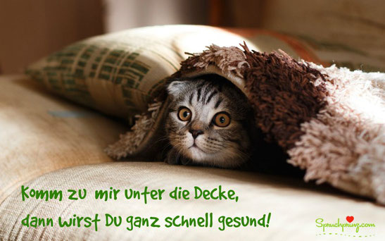 17 Gute Besserung Wünsche (+ Bilder Sprüche + Videos) - Sprüche, Zitate