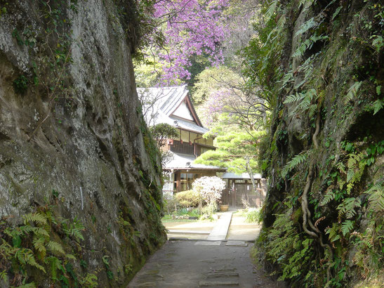 客殿へ続く切通し