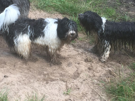 links Arthur, rechts Bootl#smann