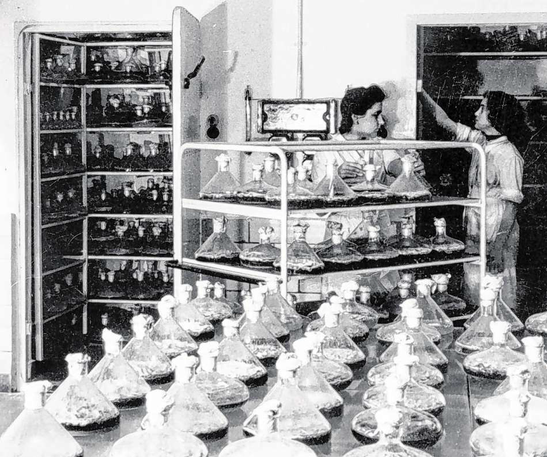 Foto: Archiv Firma Grünenthal