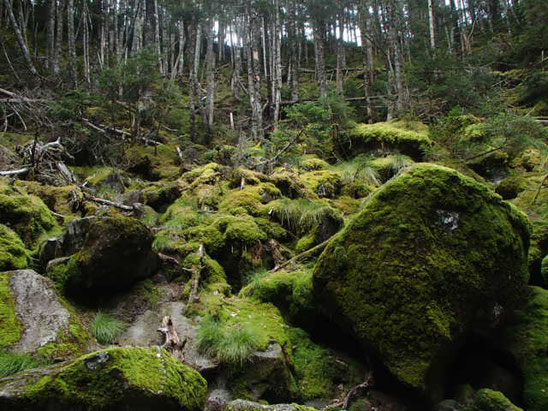 茶臼山登山　地獄谷　探訪ツアー