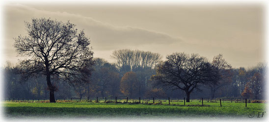 Ein schöner Herbsttag