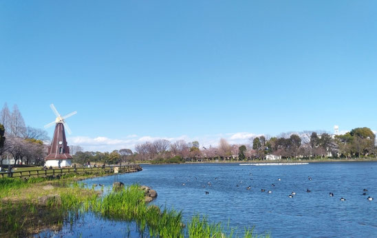 浮間公園の写真
