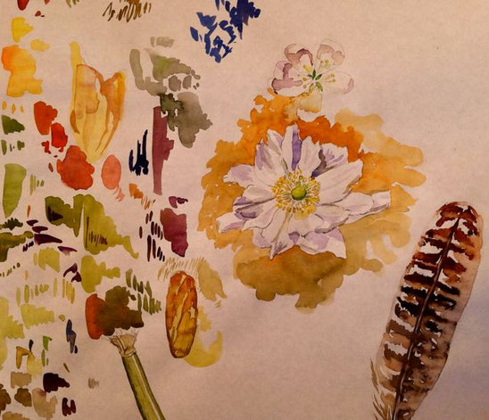 garden bits, watercolor
