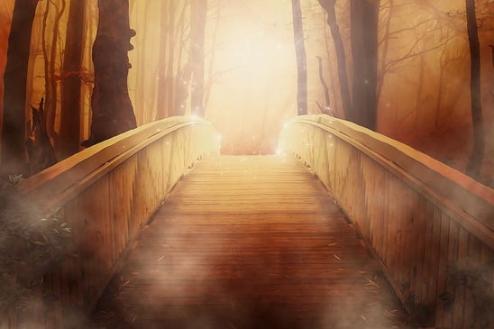 Amelies Lichtimpulse, lichtvolle Begleitung auf Deinem Seelenweg