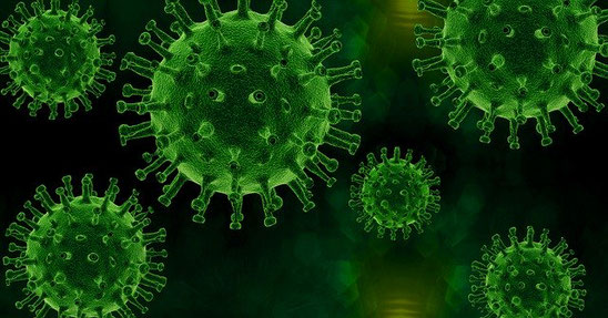 Corona, Virus, TCM, Immunsystem