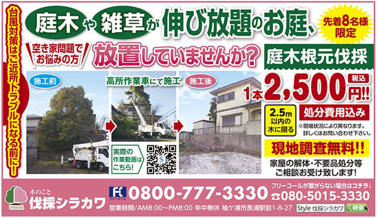 生活情報誌Style 2025年6月20日号　伐採シラカワ