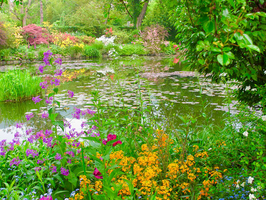 Bild: Der Seerosenteich im Garten des Malers Claude Monet in Giverny