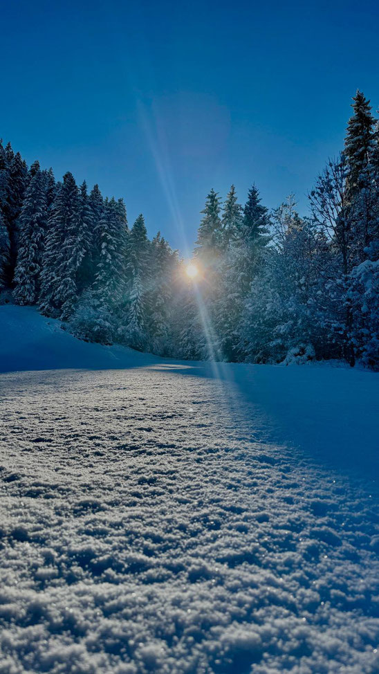 Winterwonderland