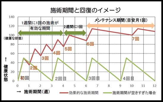 施術期間と回復のイメージ
