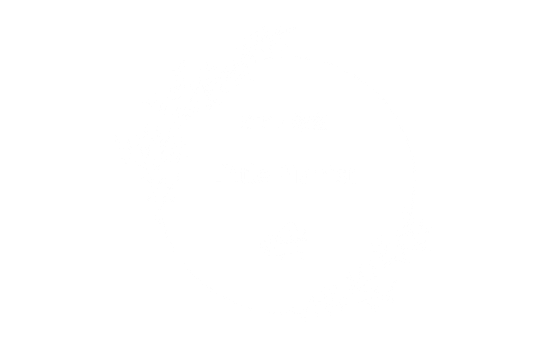 ピアノ教室Little Pianist