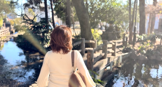 湧き水が清らかな、神社の下の御池の公園✨お散歩コースです♪