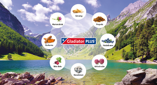 Foto copyright GladiatorPlus Mensch 