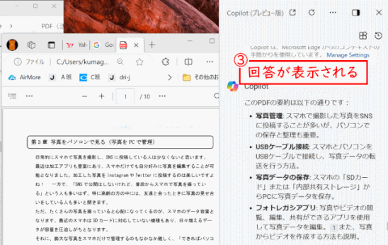 copilot33:PDFが要約される