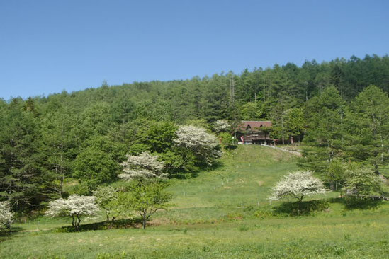 入笠山　登山　ガイド
