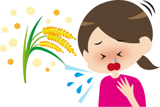 6月でも花粉症(稲科植物)