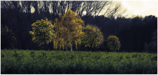 Die Zeit des Herbstes