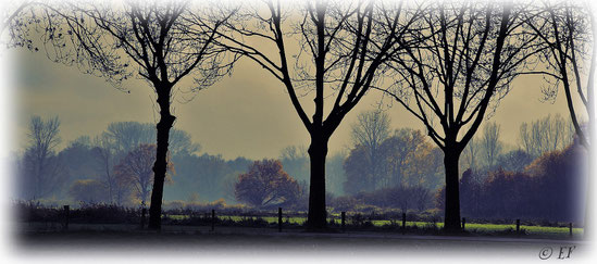 Herbstzauber