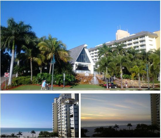 Marco Island Marriott Beach Resort(学会会場)