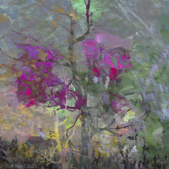 Painterly composing of different plants