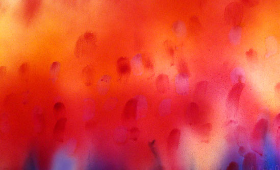 Sylvie Lander-peinture-vitrail-couleurs-abbaye-baumgarten- #SylvieLander