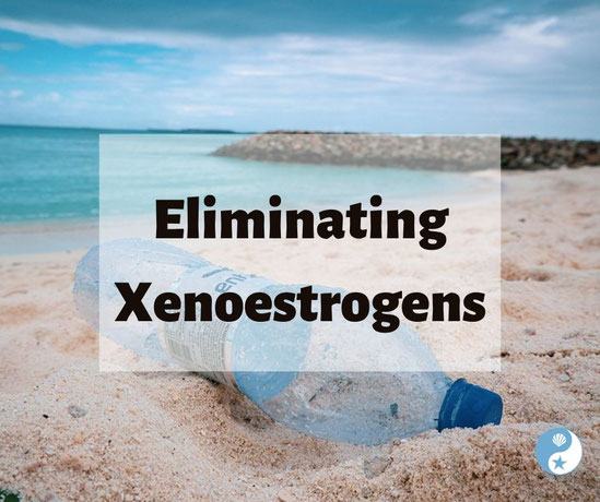 Eliminating Xenoestrogens on the Beachside Blog