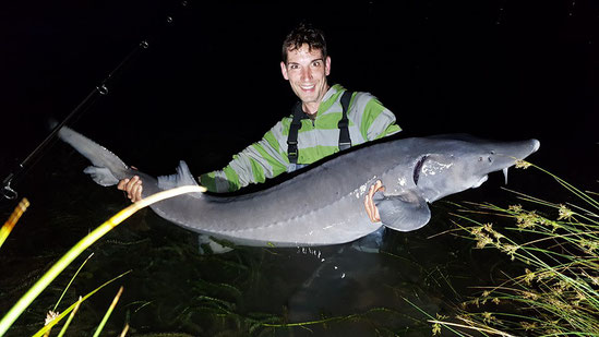 pêche de l'esturgeon