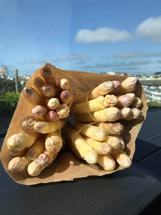 Spargel aus Plomeur, Pays Bigouden, Bretagne, Finistère