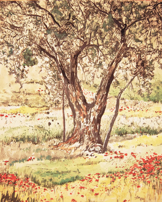 Typical old olive tree in Tuscany, Italy, slight ink with Gouache on brown paper made by Thomas Lux