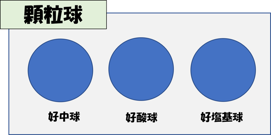 顆粒球のイメージ