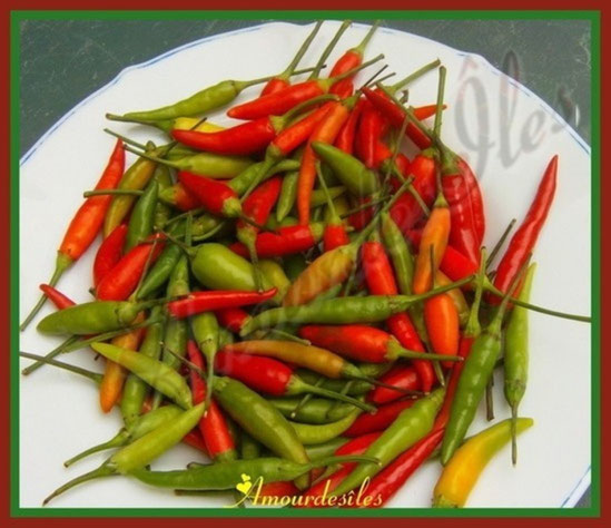 Les piments prêts à être mixés pour en faire une pâte!