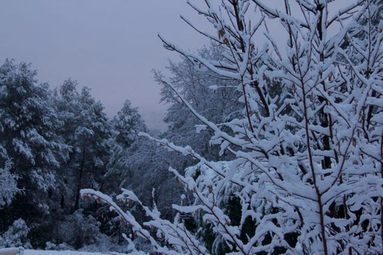 Mte Sainte Victoire in the snowcloud