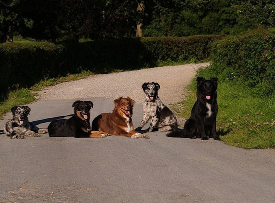 Halbgeschwister-Treffen