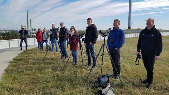 Vogelbeobachtung mit Panoramablick.      Foto: freundlicher Spaziergänger