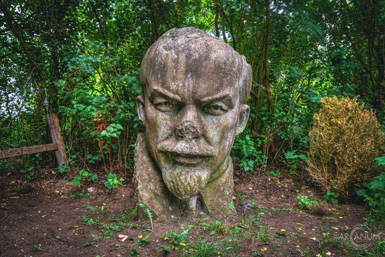 The Head of Lenin