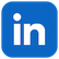 Logo LinkedIn – Alain Rivera