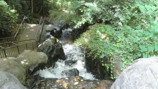 夏の日は 水と花火で Yorosikus Jimdo Page 夏の日は 水と花火で Yorosikus Jimdo Page
