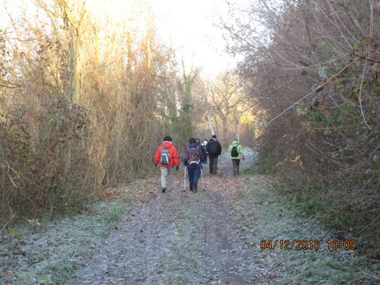 Marcher sur un sol gelé le long de l'Yonne entre 2 haies de feuillus ...