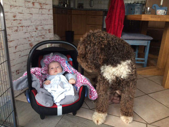 Auch als Hunde-Mama ist man multitask. Ganz egal ob Hunde- oder Menschenbabys - kein Problem.