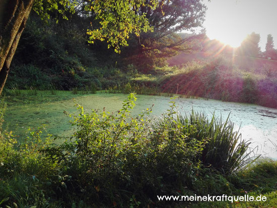 Kraftquelle, magischer Teich, magischer See, Elfensee