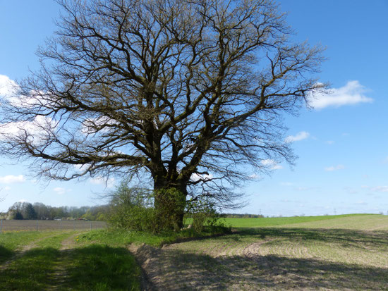 Heilkreis mit Sitzkissen und Mitte