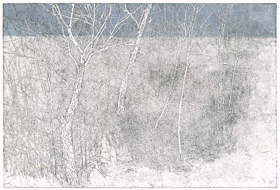 Rijp 11/13 , Anna Metz/ etching, mixed printing technique/ Gallery collection