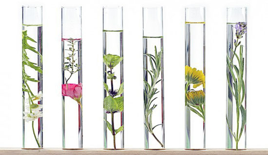 Lyon Clean Aromatherapie