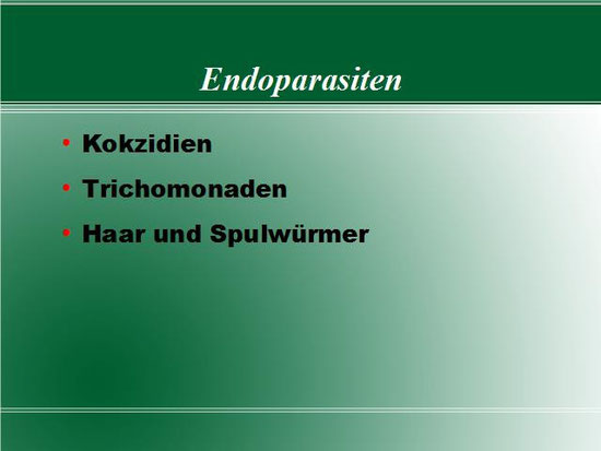 Endoparasiten