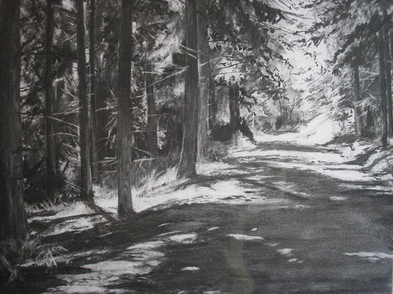 Chemin at Chateau Chaumont, charcoal, 2009