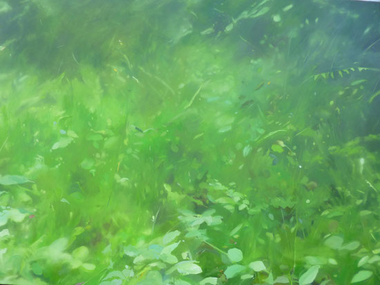 Meadow, Oil on canvas, 2014